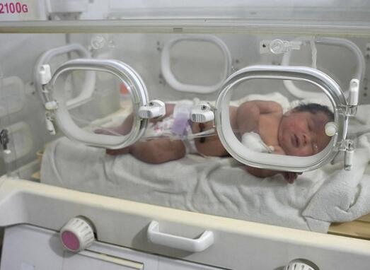 数千人提出领养叙利亚奇迹宝宝 始料未及真相简直太惊人