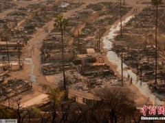 洛杉矶山火死亡人数升至16人 多地发现遇难者