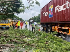 江门全部公交线路暂停运营 台风“韦帕”影响显著